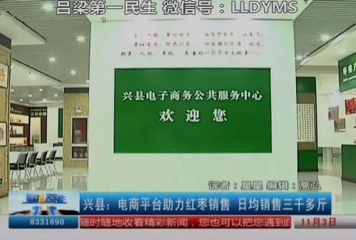 電商平臺助力紅棗銷售,日均銷售三千多斤