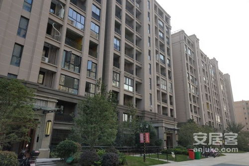 金科廊橋水岸優點 不足,金科廊橋水岸怎么樣,金科廊橋水岸周邊房產中介經紀人評價