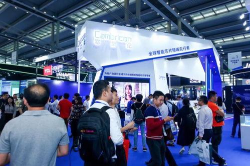 中科寒武紀的估值分析 典型的高科技 重研發企業